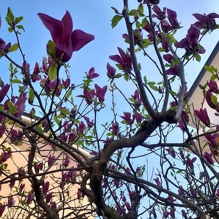 Casa Magnolia, Tranquilla E Centrale Διαμέρισμα Νικελίνο Εξωτερικό φωτογραφία